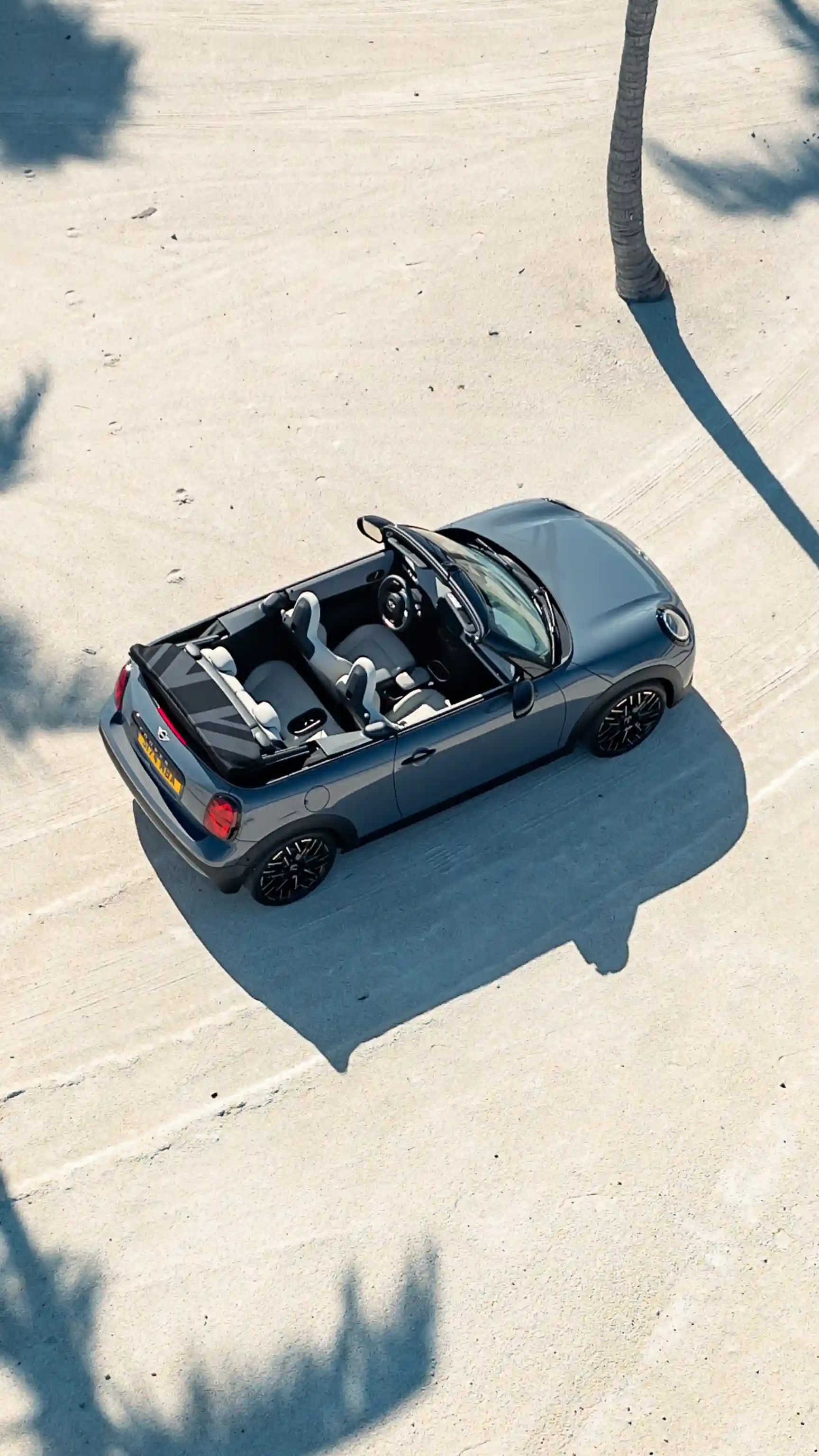 MINI Cooper Convertible – palmas