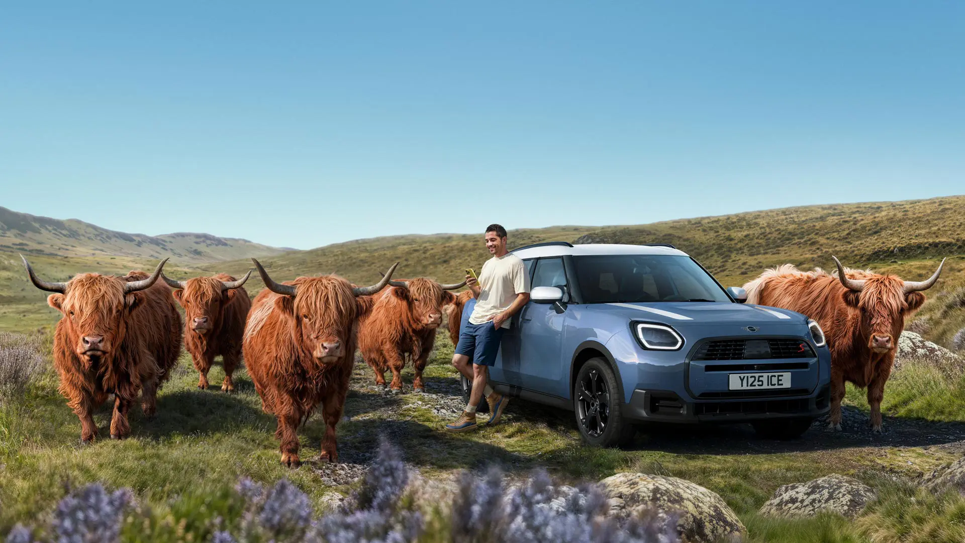 Vīrietis mierīgi atspiedies pret savu MINI Countryman S ALL4, kamēr kalnainā apvidū viņu ieskauj Highland šķirnes buļļi.